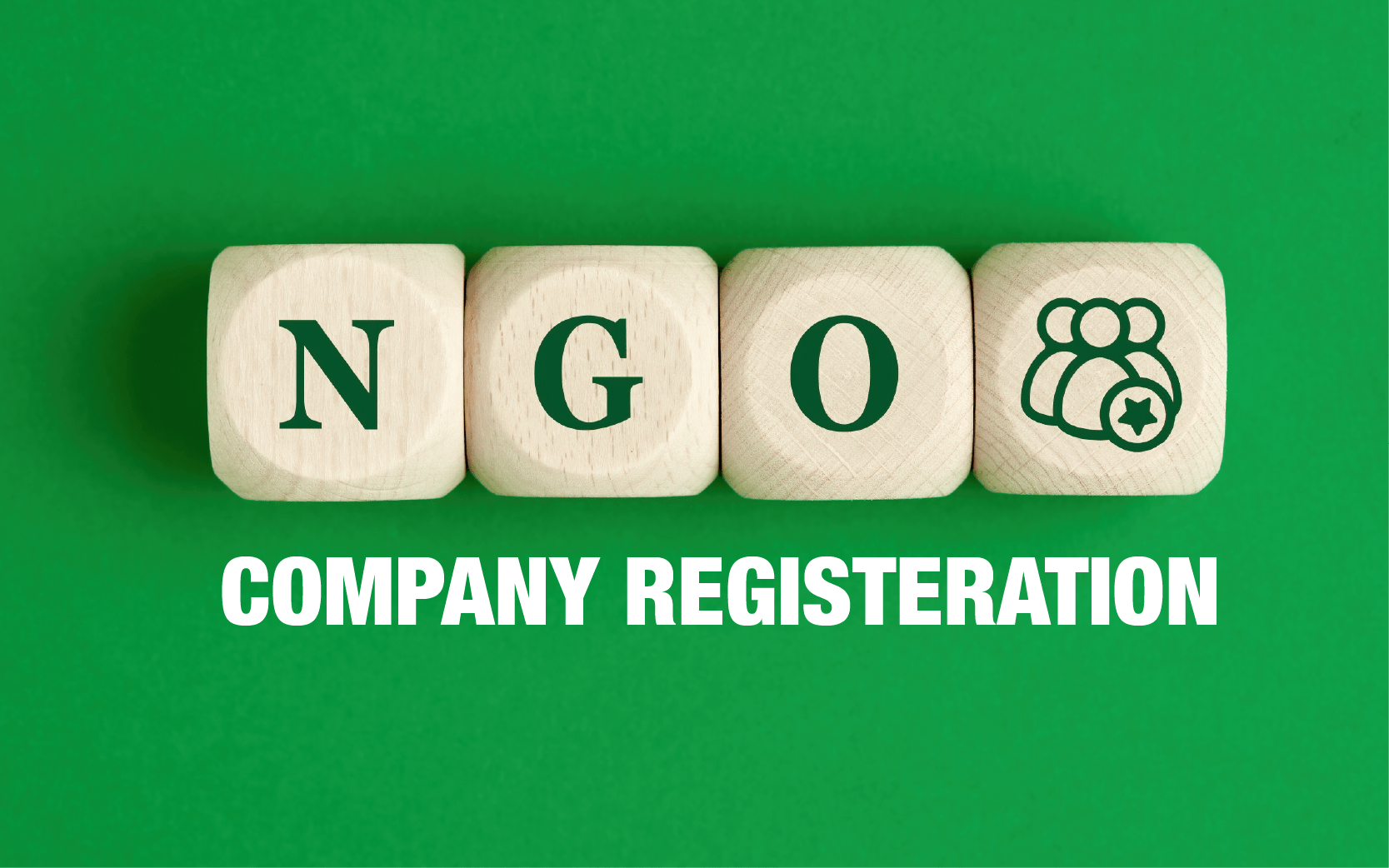 ngo-registration